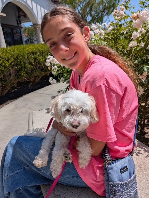 Enlarge Princess, a ADOPTABLE mixed breed in Rancho Palos Verdes, CA image 5/5