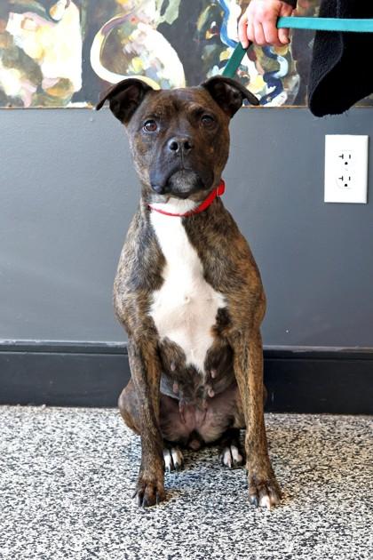 Barbecue — thumbnail 2