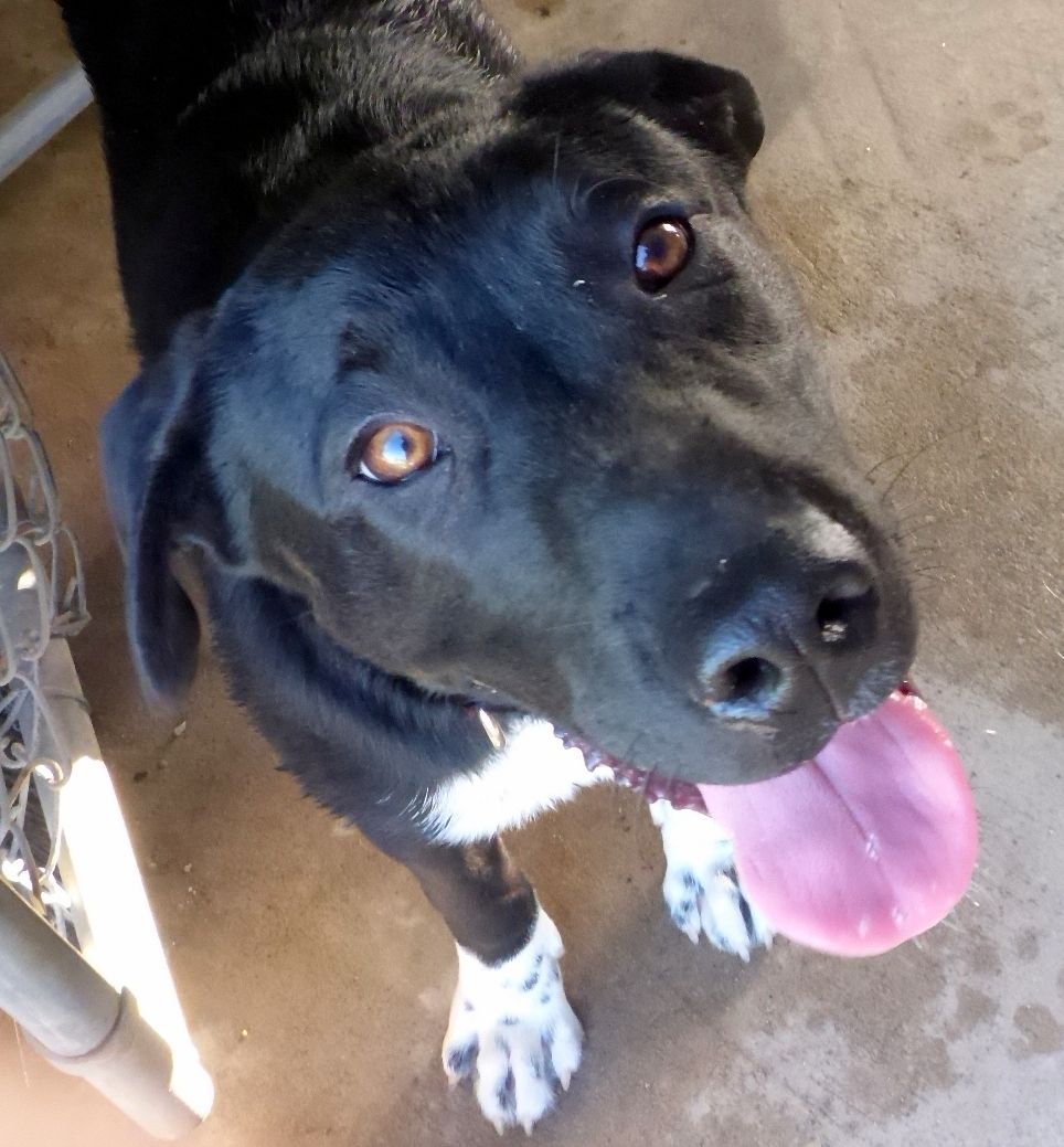 Benny photo 5