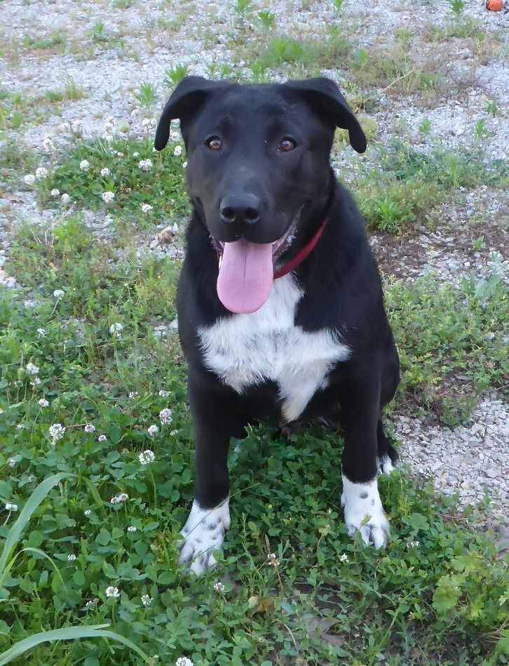 Benny photo 3
