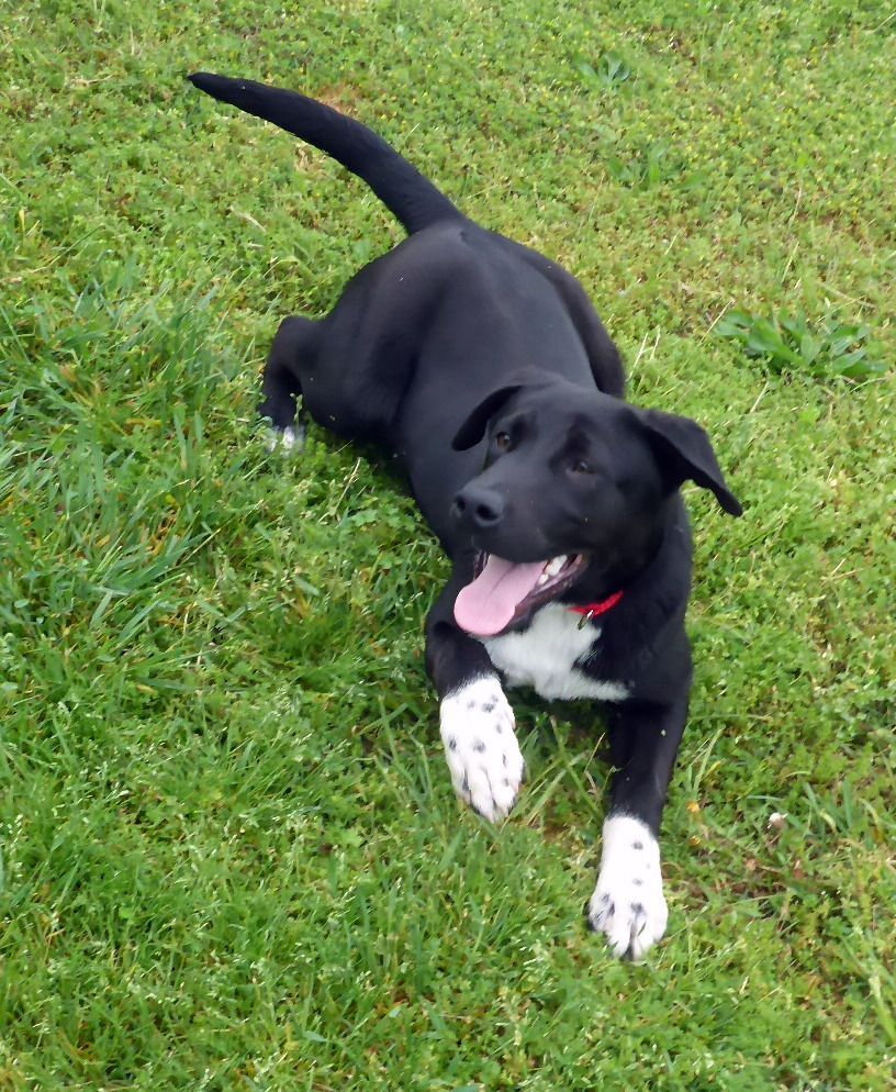 Benny photo 4