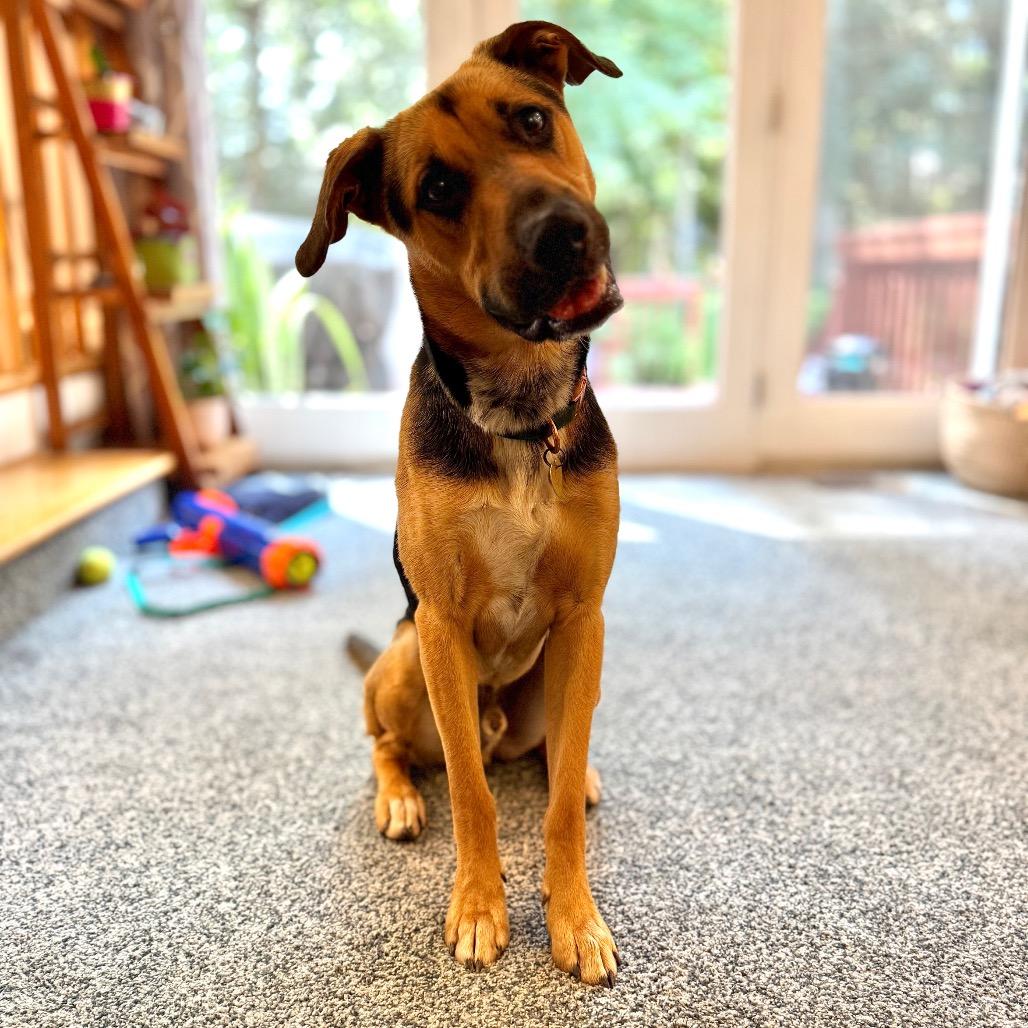 Sully A — thumbnail 2