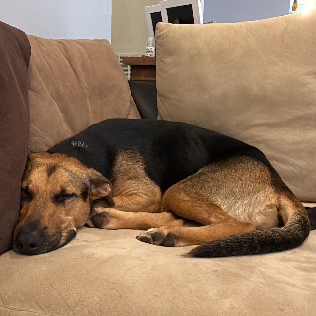 Sully A — thumbnail 3