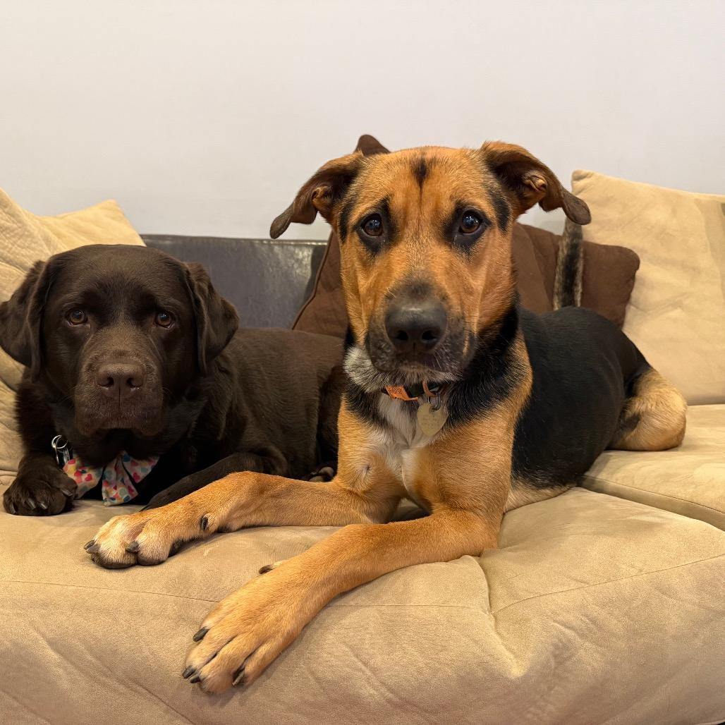 Sully A — thumbnail 4