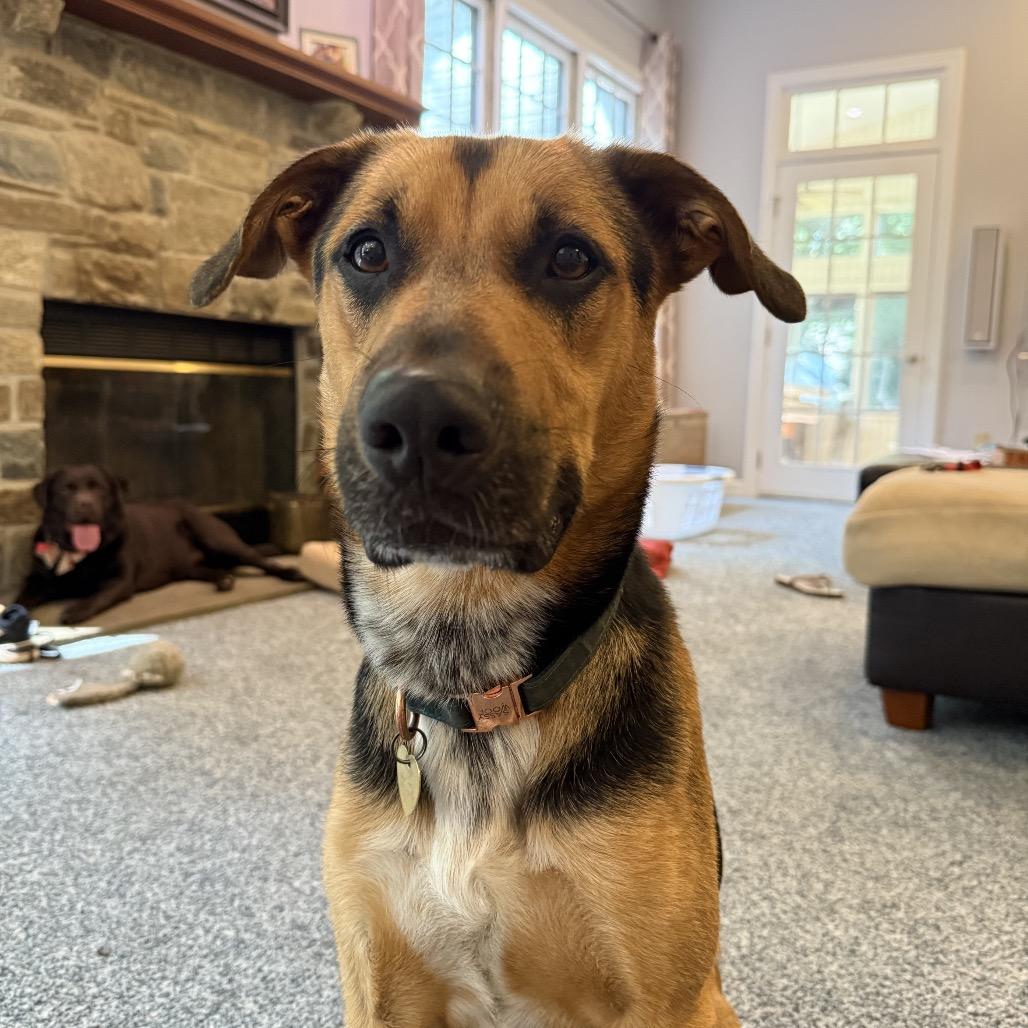 Sully A — thumbnail 5