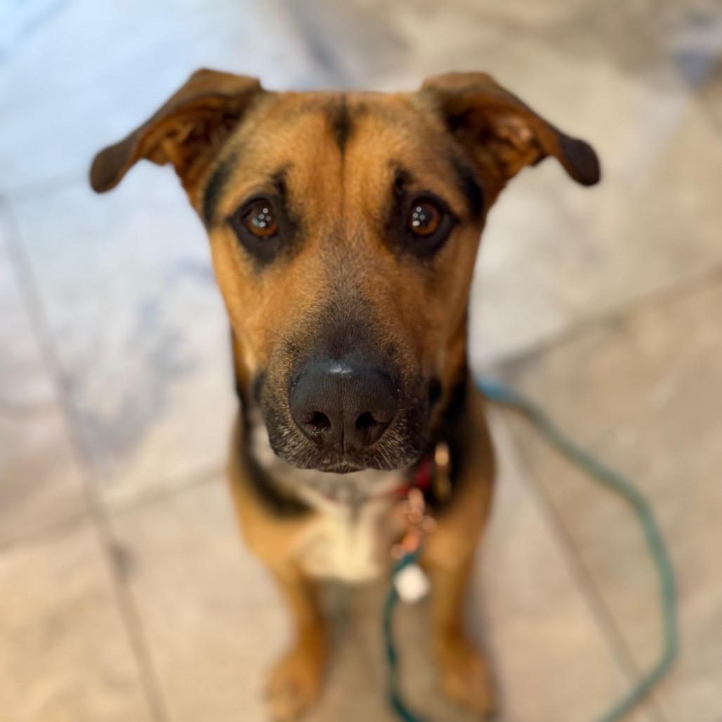 Sully A — thumbnail 6