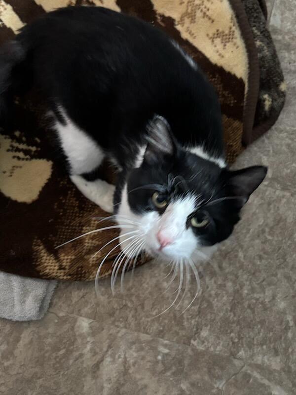 Harry - COURTESY LISTING FOR OWNER