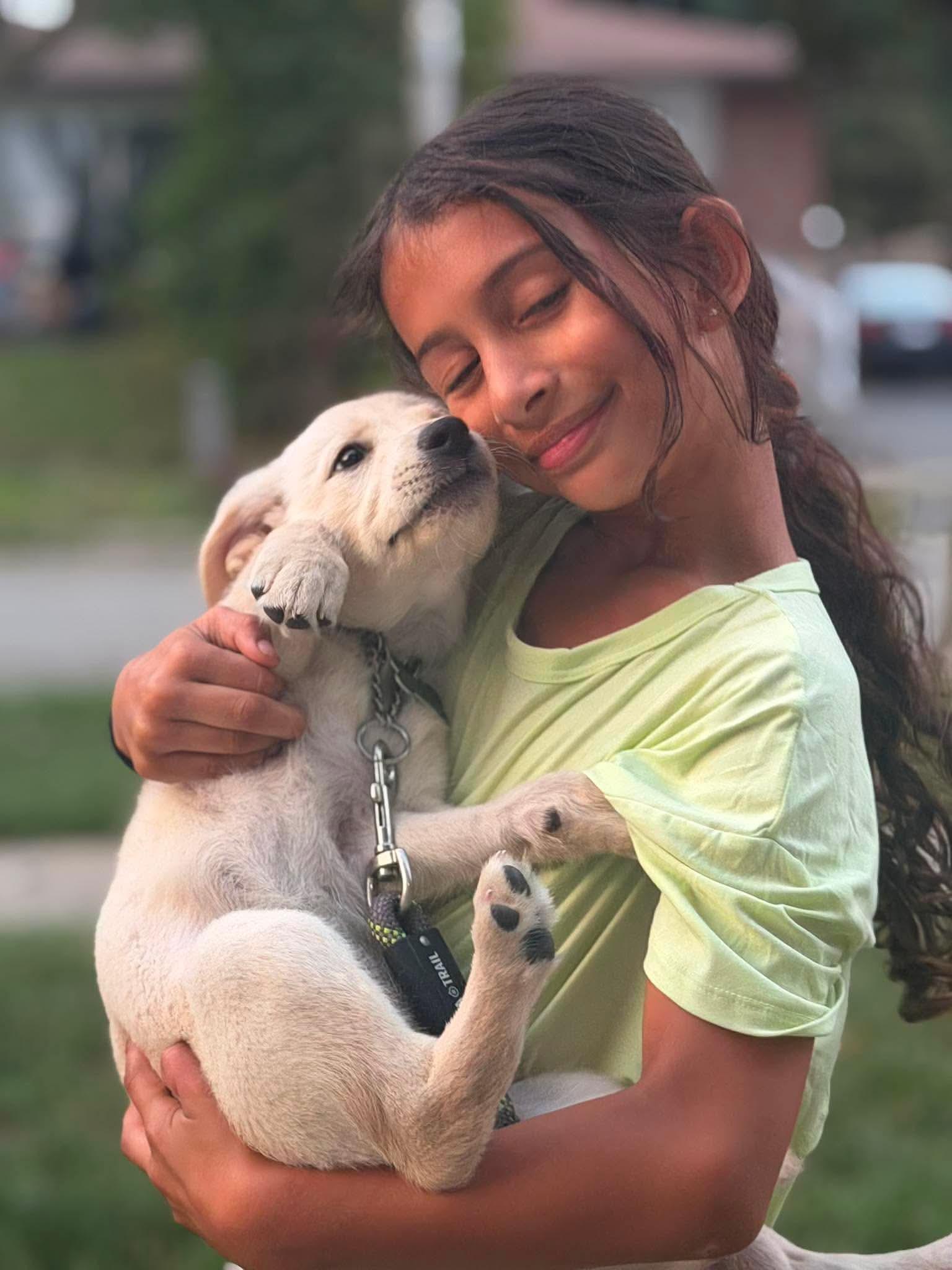 Lexi, an adopted mixed breed in Oshawa, ON image 4/6