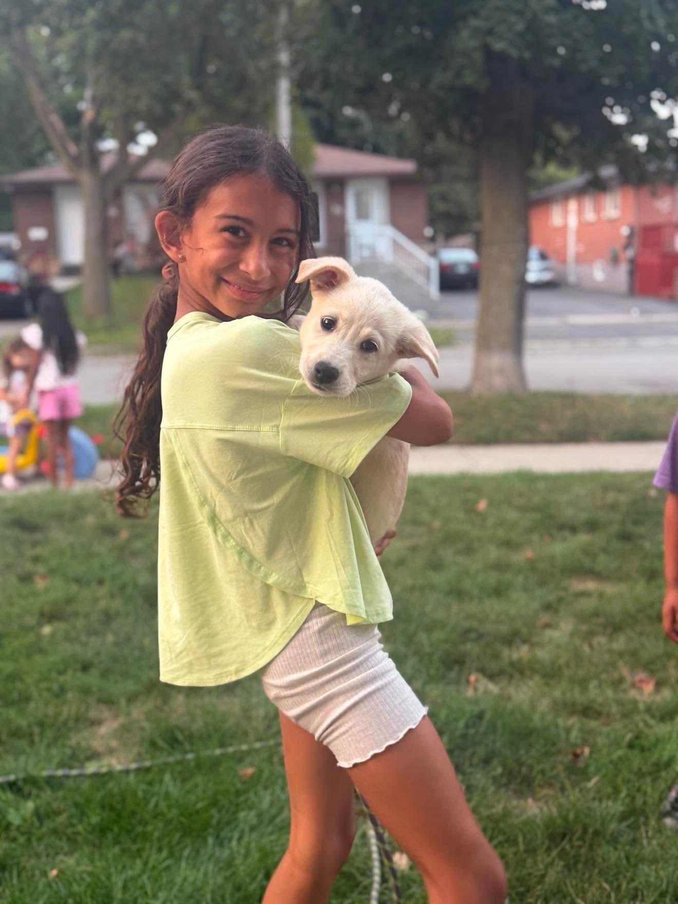 Lexi, an adopted mixed breed in Oshawa, ON image 2/6