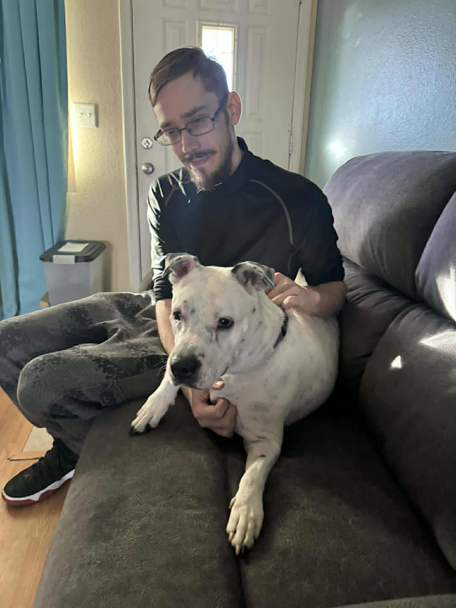 Spotta, ADOPTABLE, Adult Female Pit Bull Terrier.