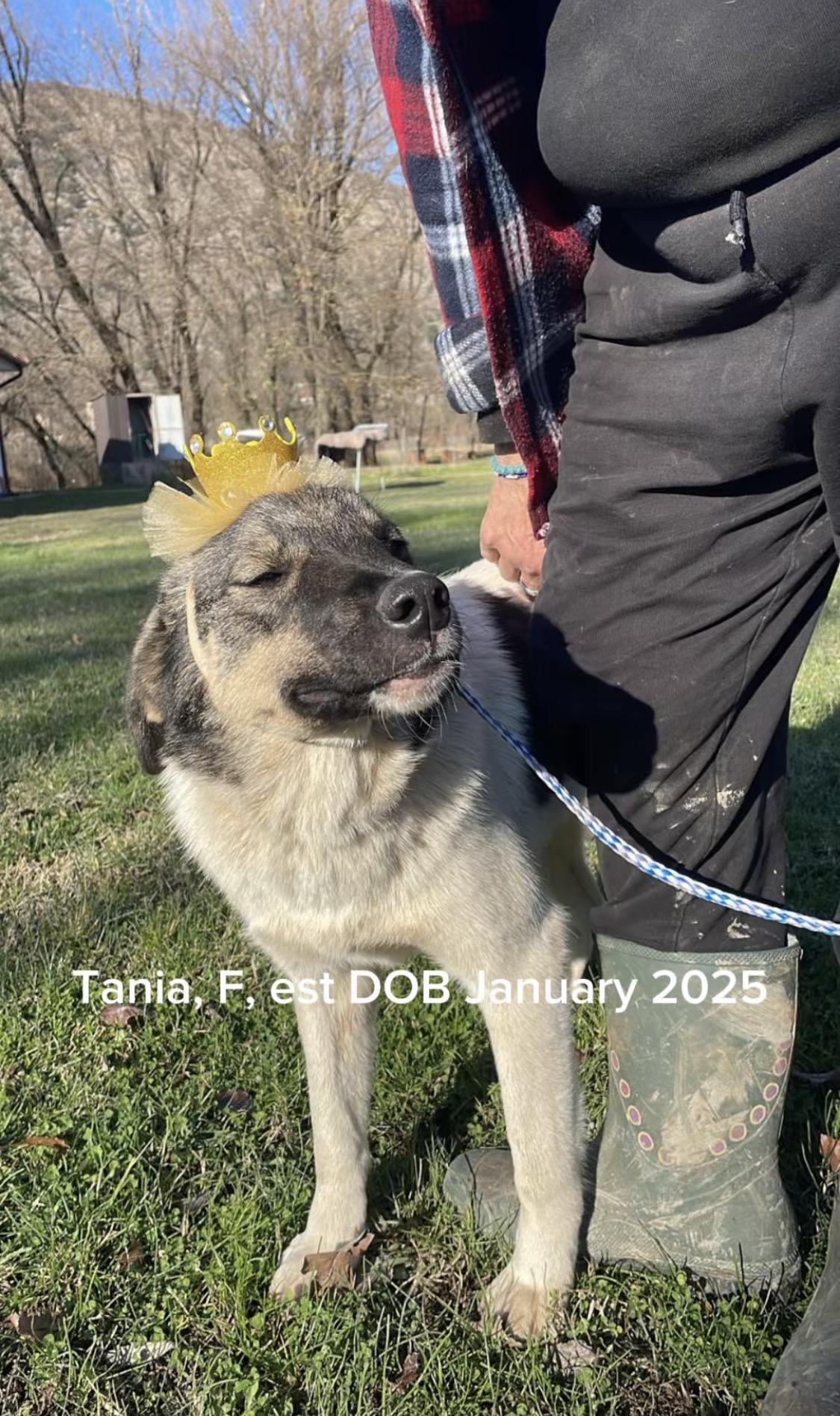 Tania — thumbnail 3