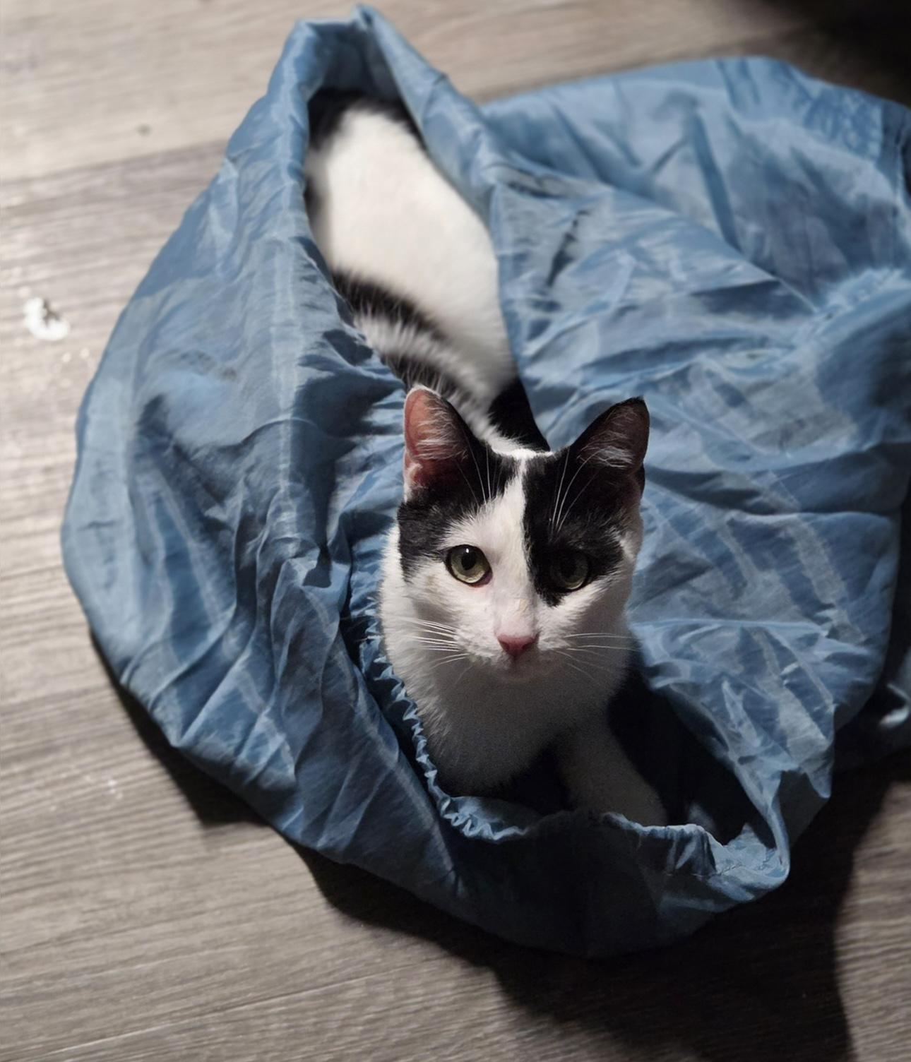 Steven Spielberg — thumbnail 4