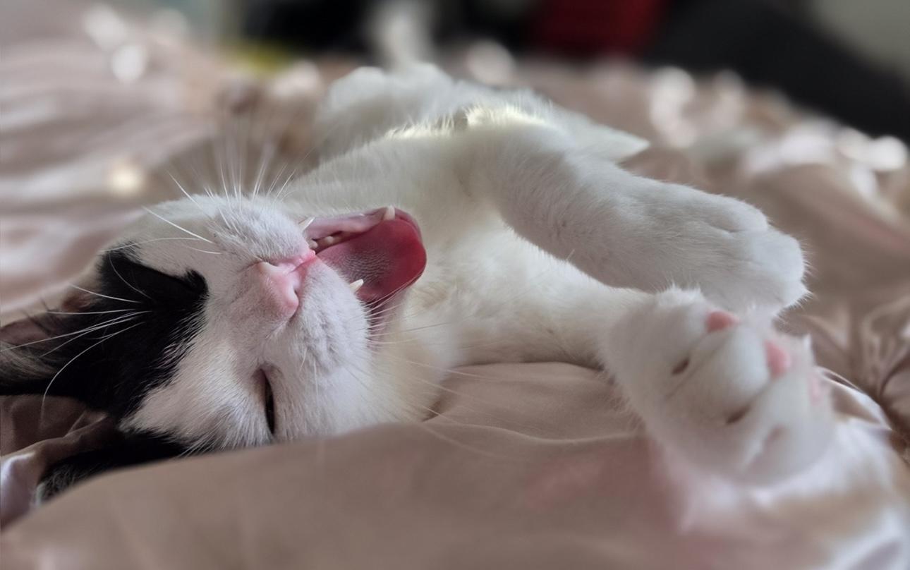 Steven Spielberg — thumbnail 6