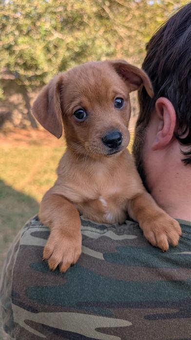 Max