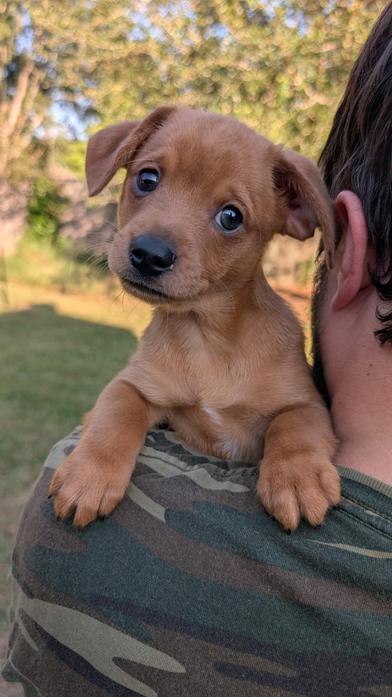 Max