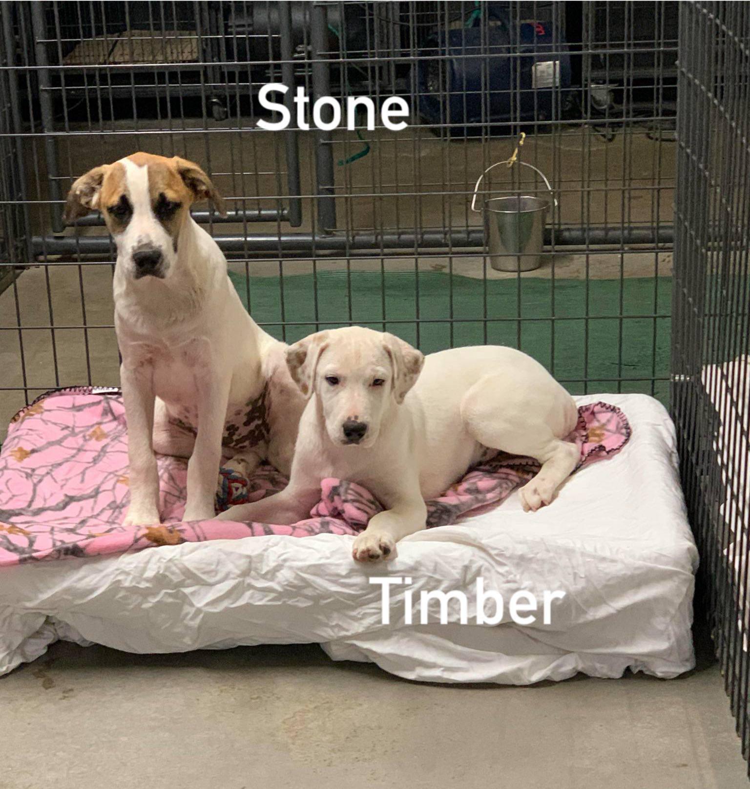 Stone