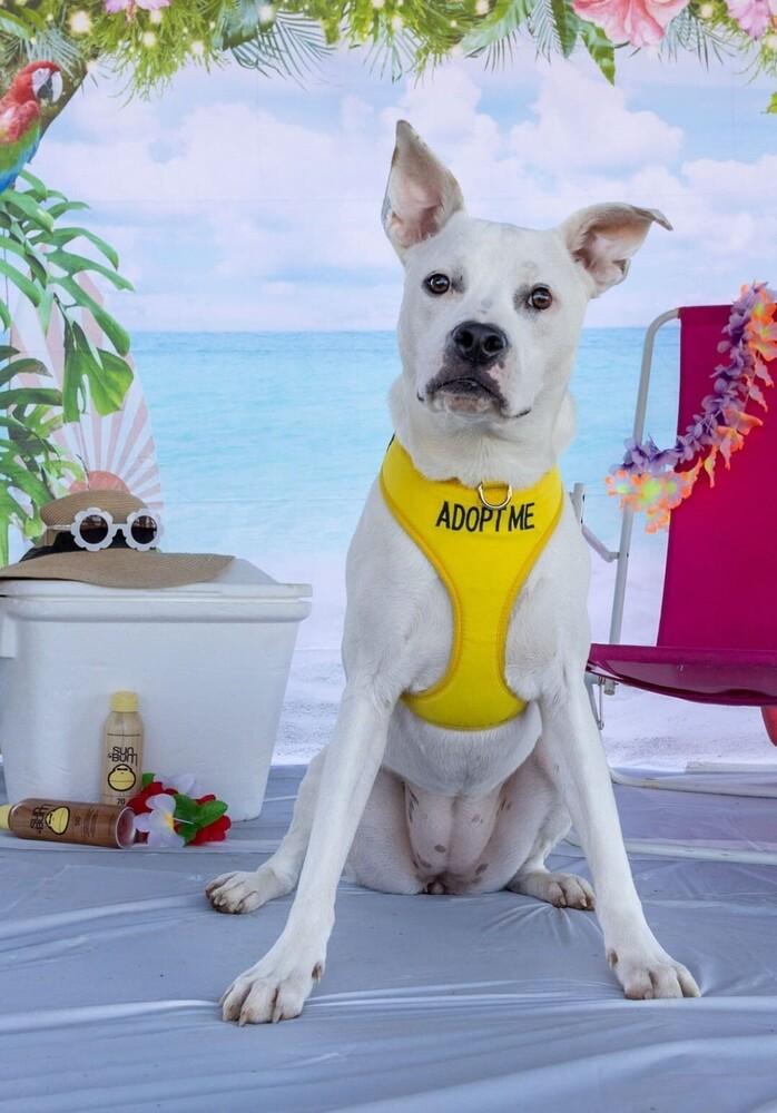 Noelle — thumbnail 5