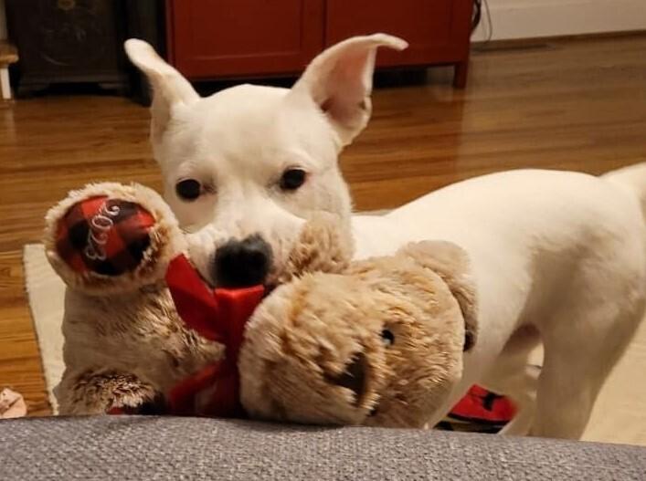 Noelle — thumbnail 6