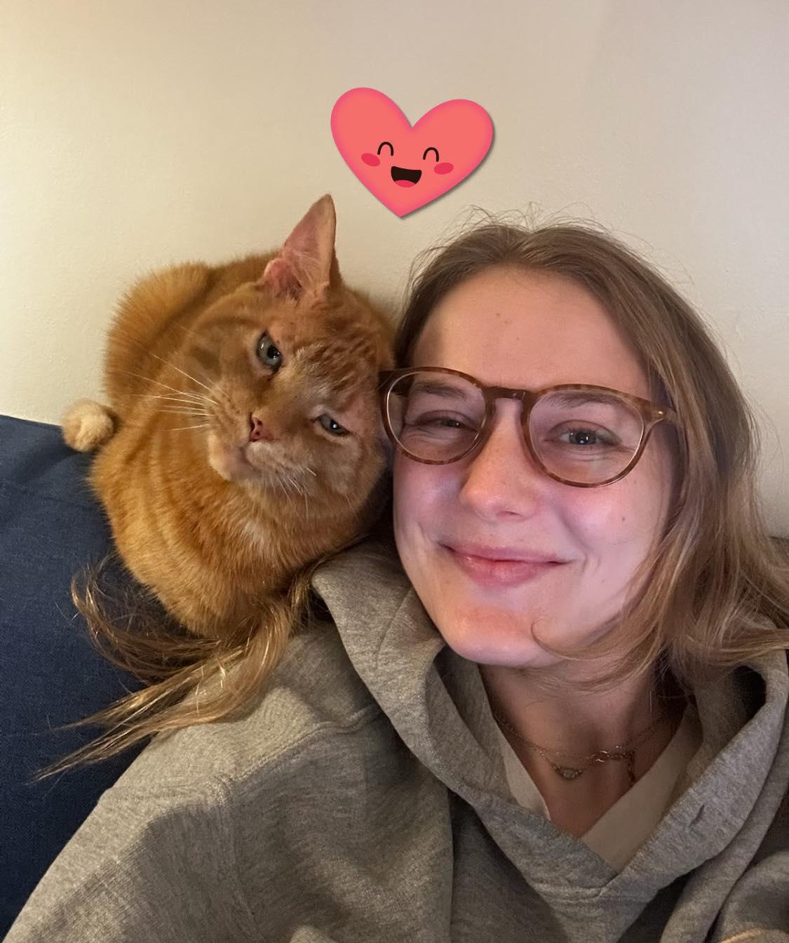 Enlarge Cashew II, an adopted Domestic Short Hair in Montreal, QC image 5/6