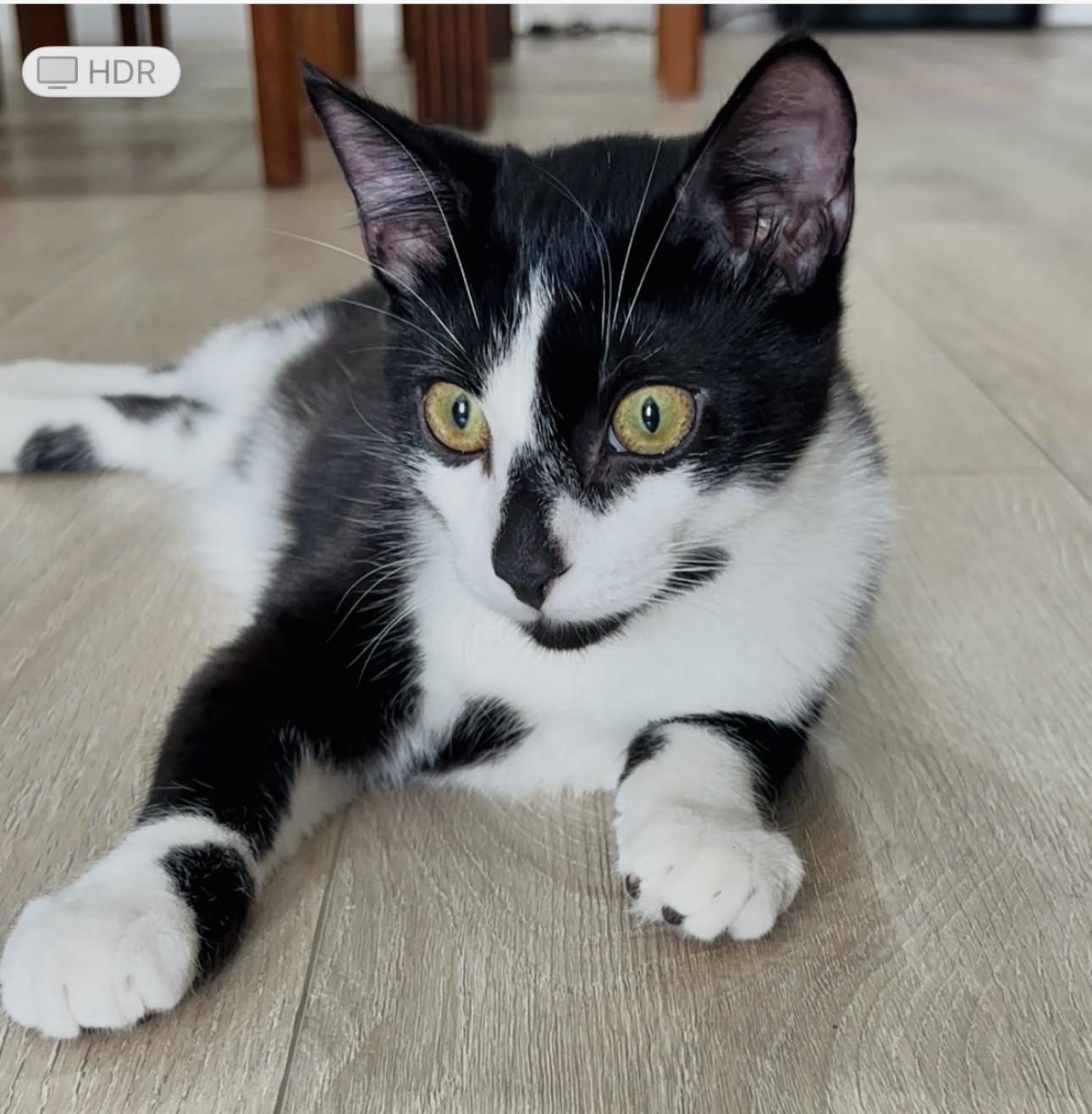 Ocean (Video) so playful )