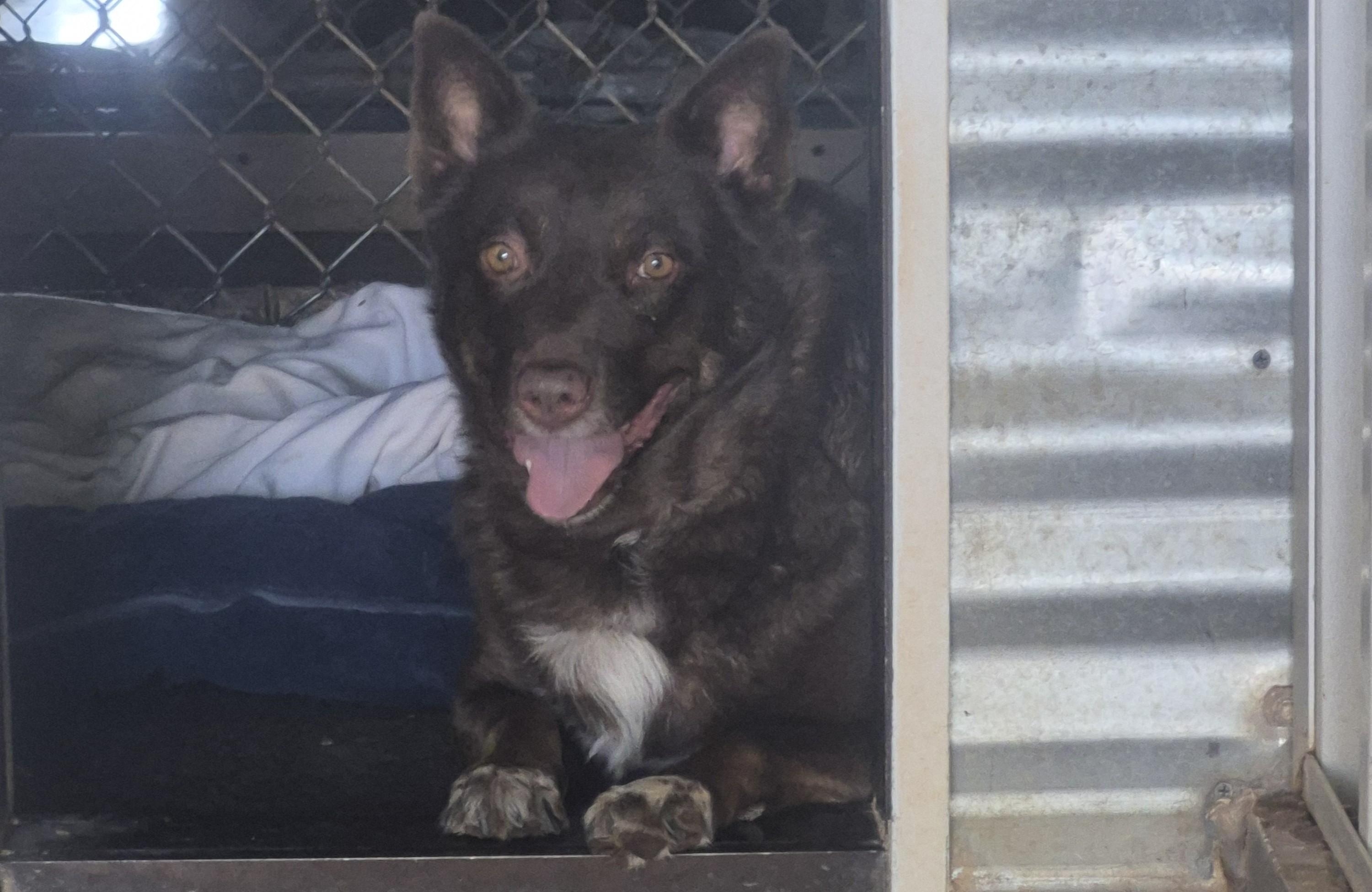 Ellie Mae photo