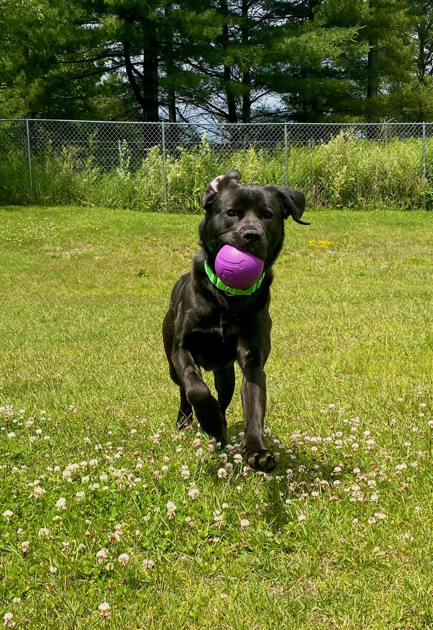Odin