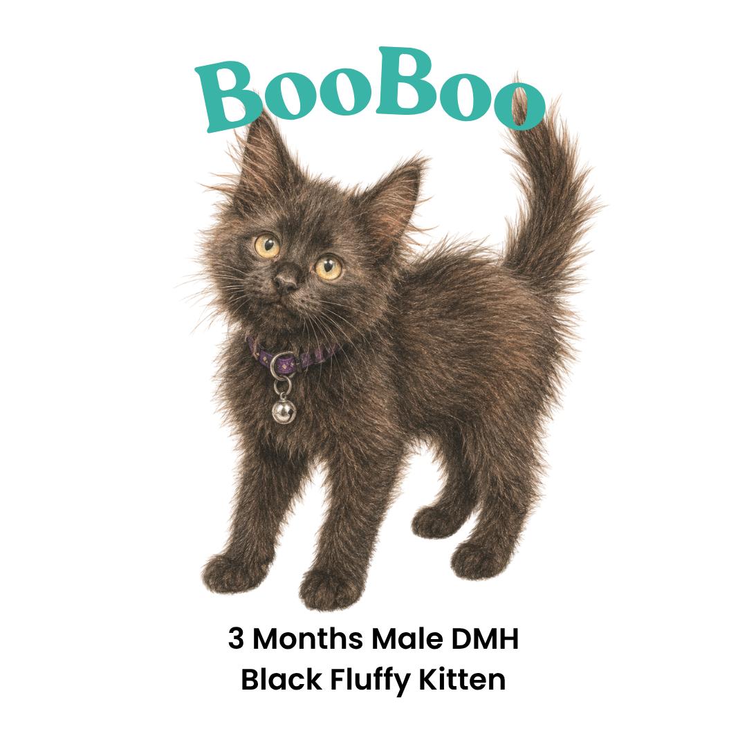Enlarge BooBoo, a Adoptable mixed breed in Houston, TX image 2/6
