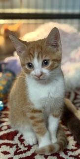 Jasper (messy faced little man)