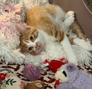 Jasper (messy faced little man)