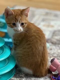 Jasper (messy faced little man)