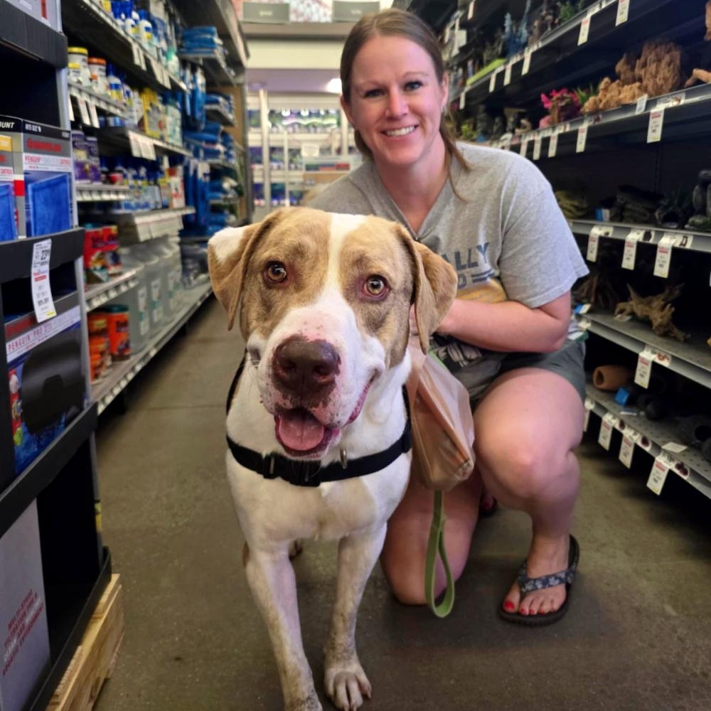 Ranger, an adoptable Mixed Breed in Cheboygan, MI, 49721 | Photo Image 7