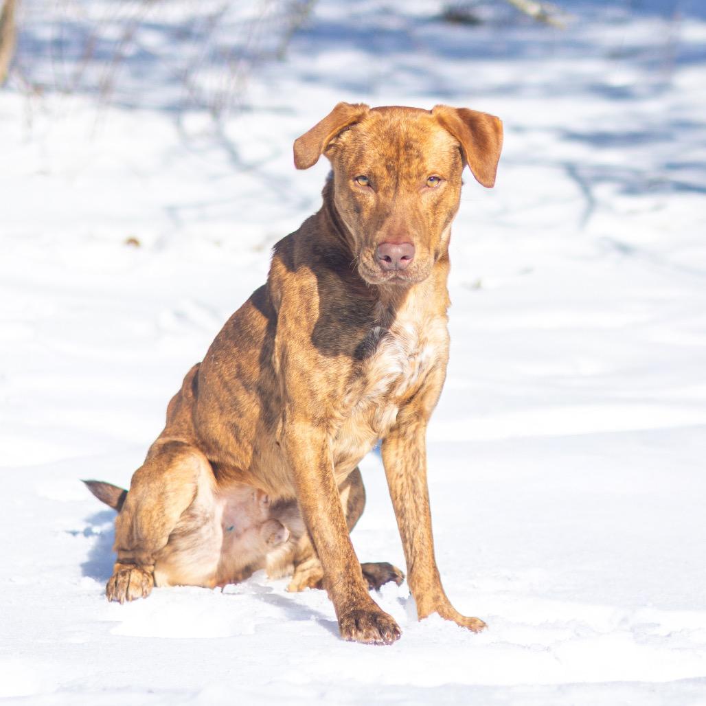 Canton — thumbnail 2