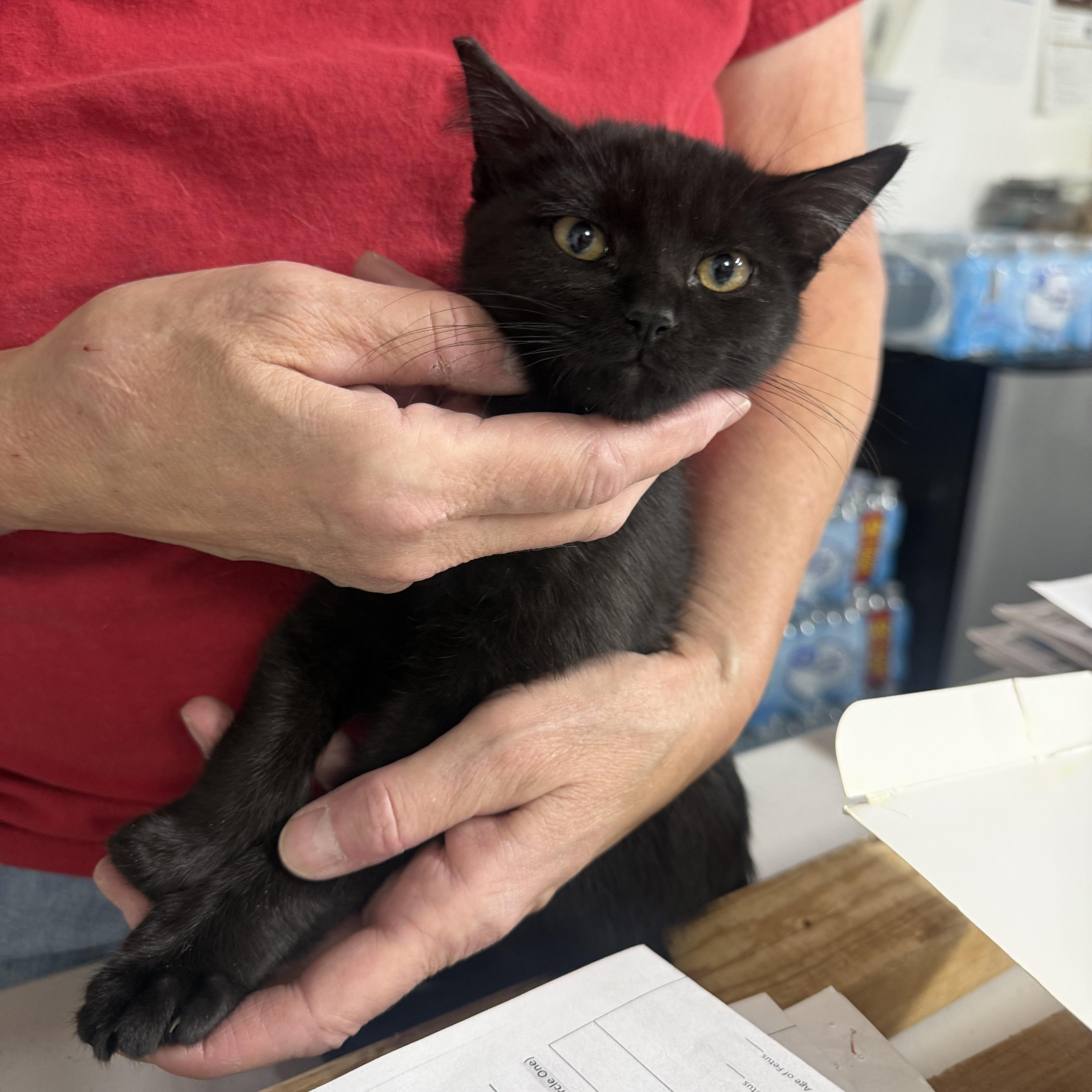 No Respkt For Da thumbnail 2