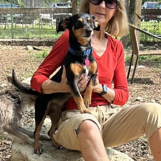 Raichu, Adoptable, Young Female Terrier & Mixed Breed.