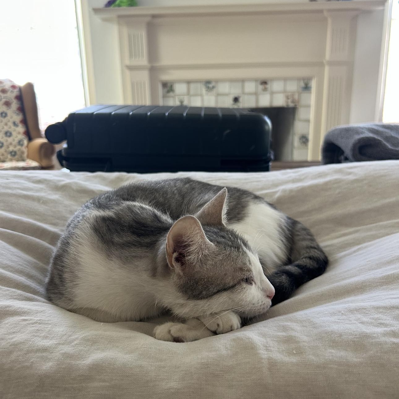 Coco