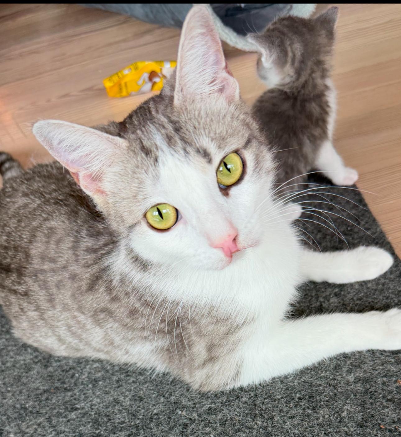 Coco