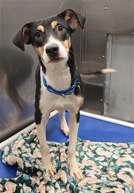 OLIVER — thumbnail 2