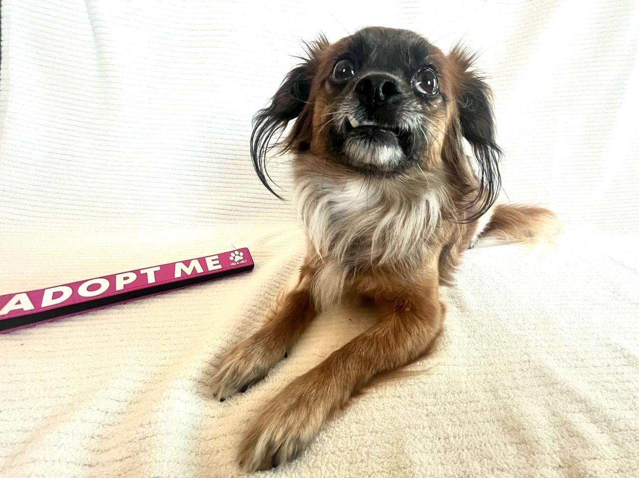 Remy