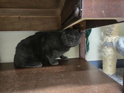 Kenny OF45 — thumbnail 2