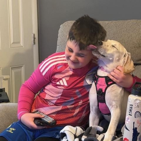 Enlarge Kacey - In NJ, a ADOPTABLE mixed breed in Willington, CT image 5/6