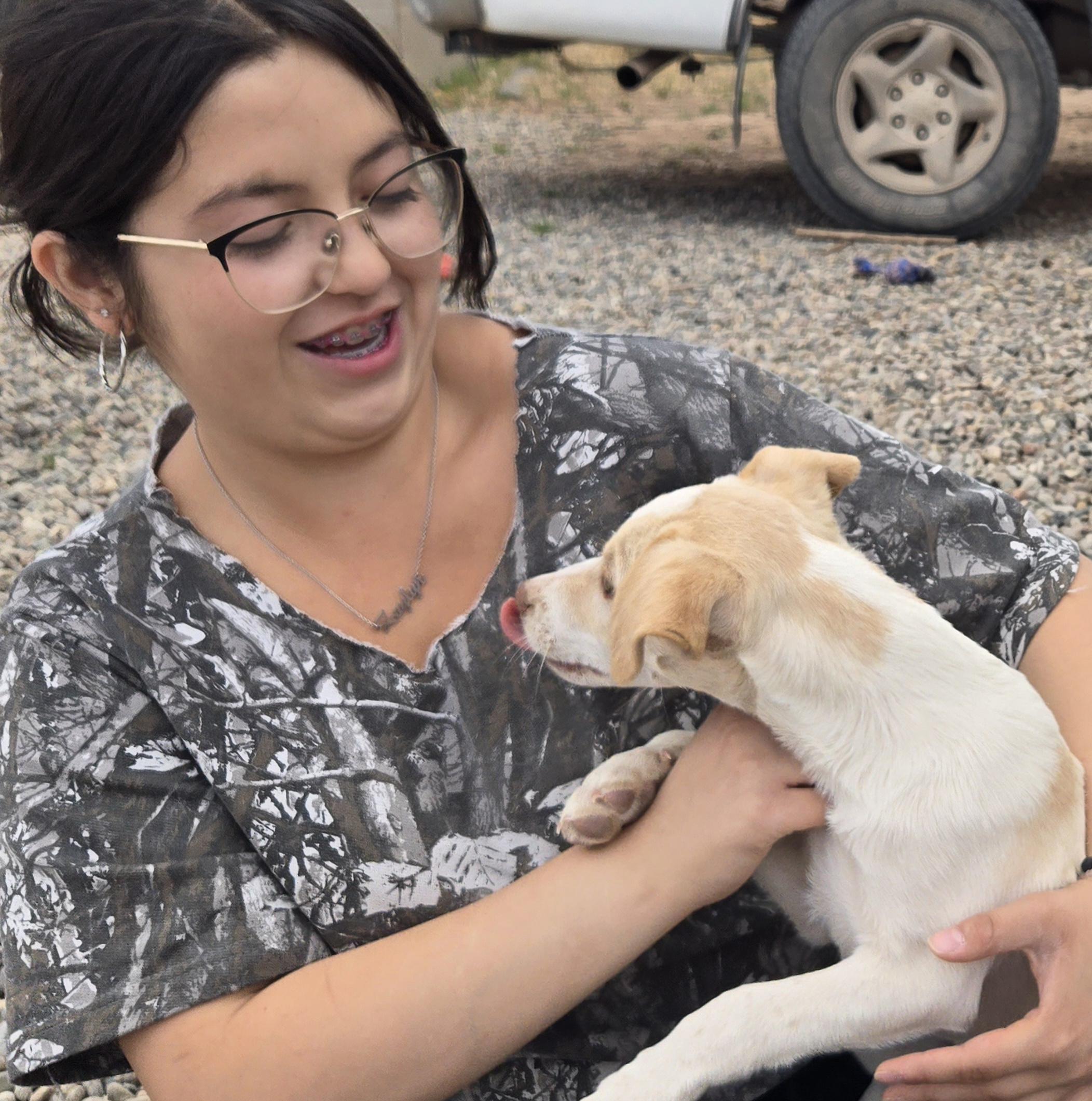 Enlarge **RIVER - Read bio below, a Adoptable mixed breed in Peralta, NM image 3/6