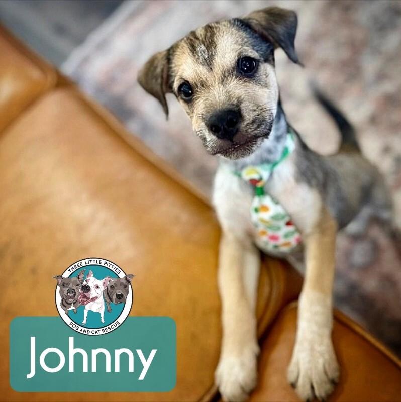 Johnny Scruffy — thumbnail 3