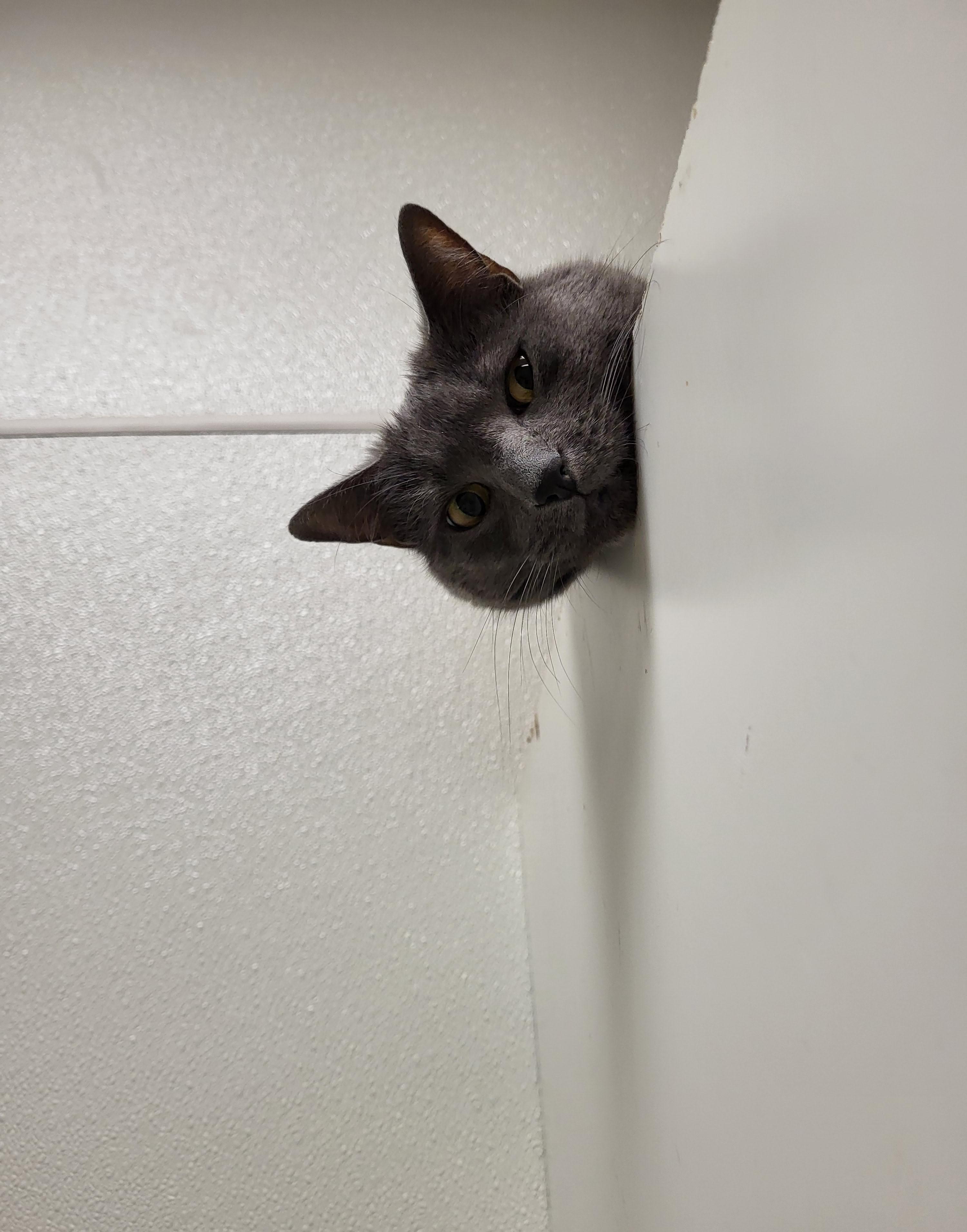 Verb — thumbnail 2