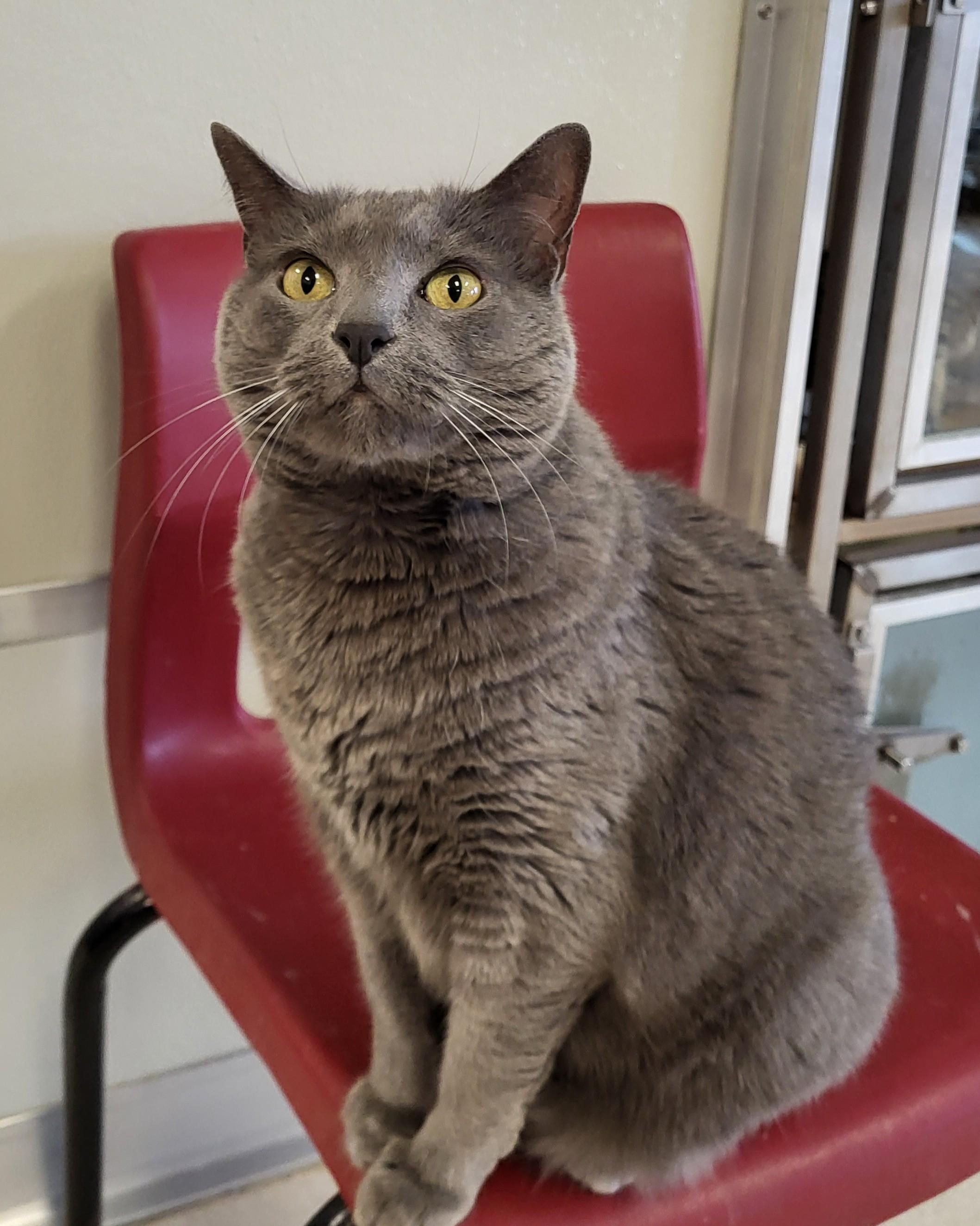 Verb — thumbnail 3