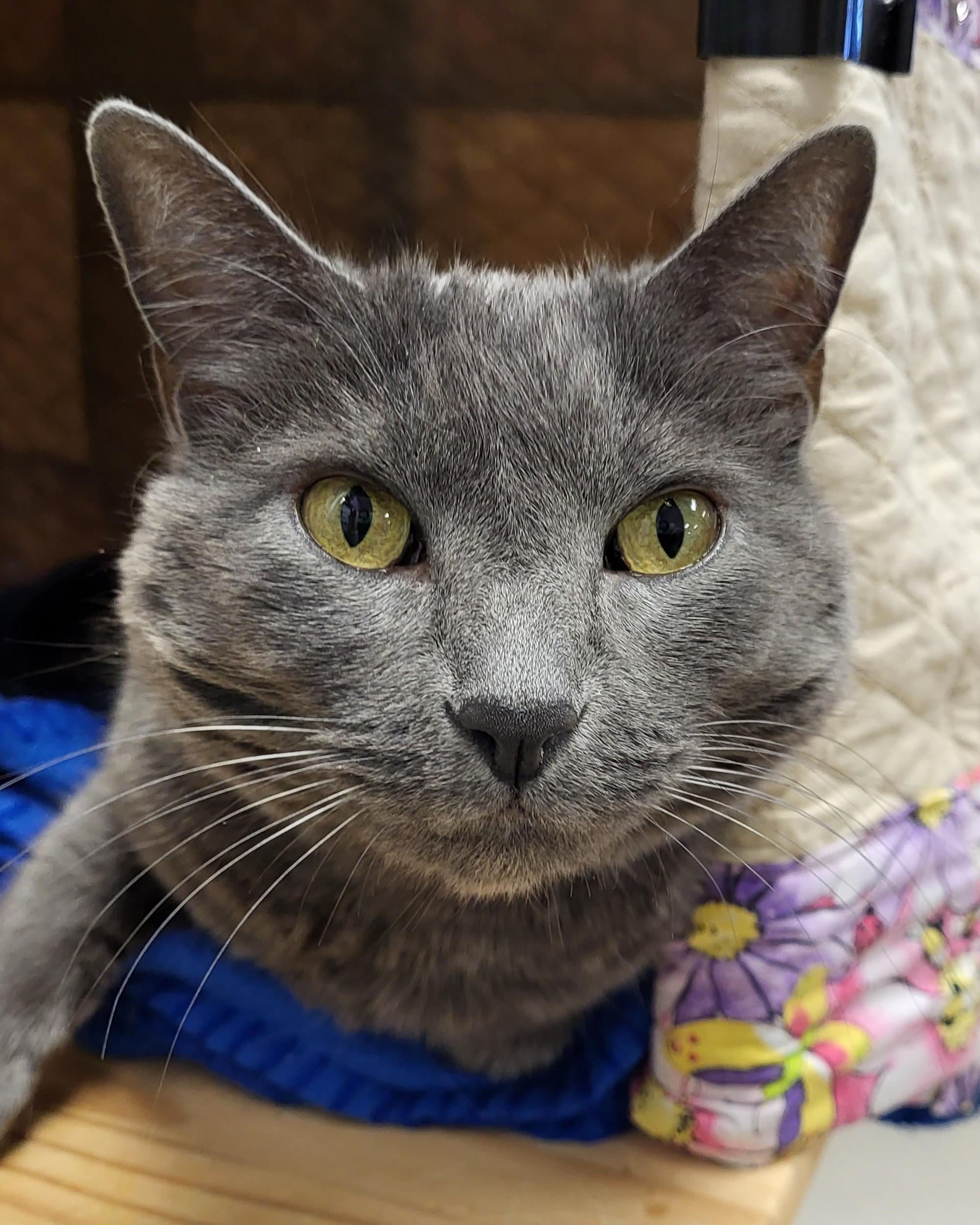 Verb — thumbnail 4