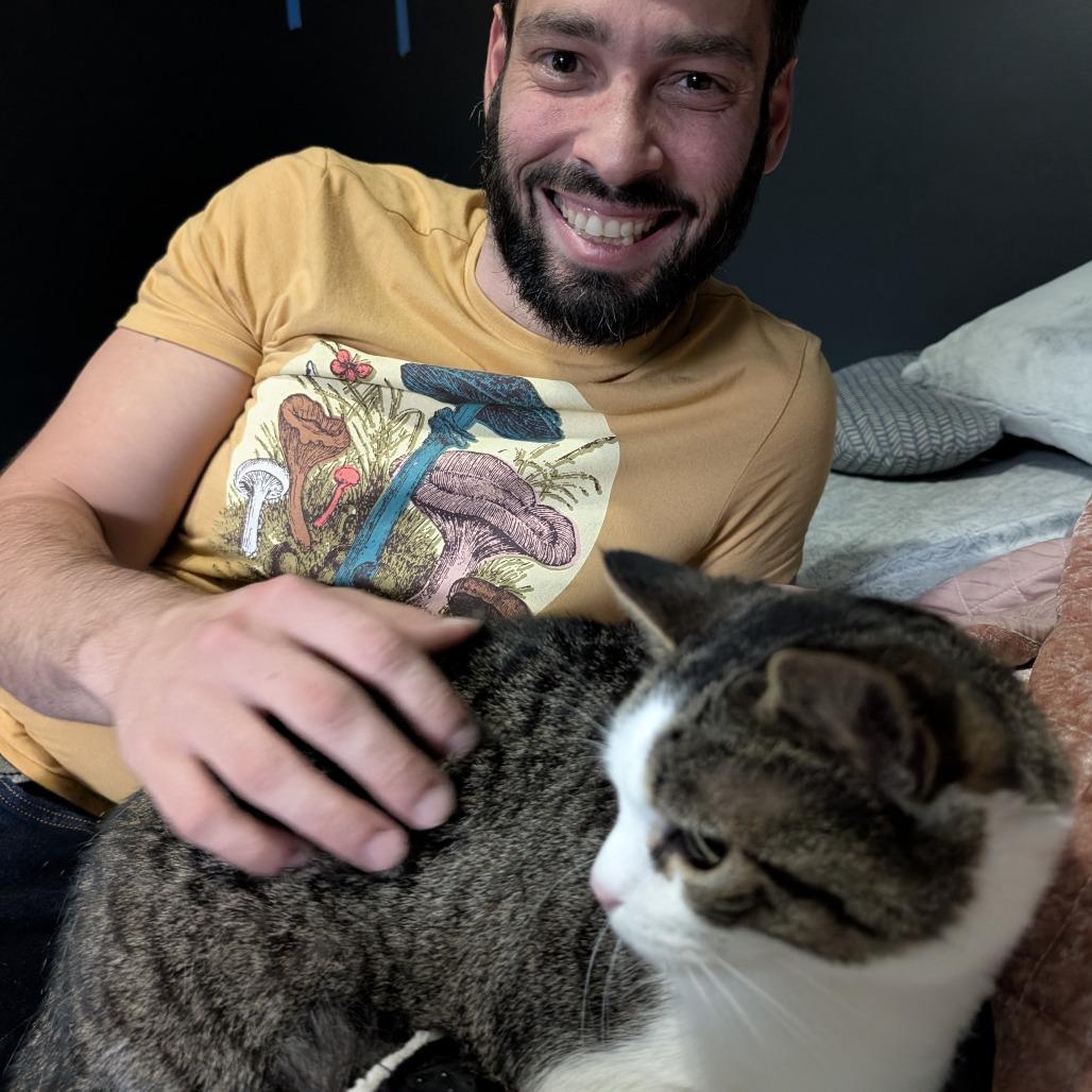 Enlarge Luca, a Adoptable Domestic Short Hair in Harrisonburg, VA image 5/6