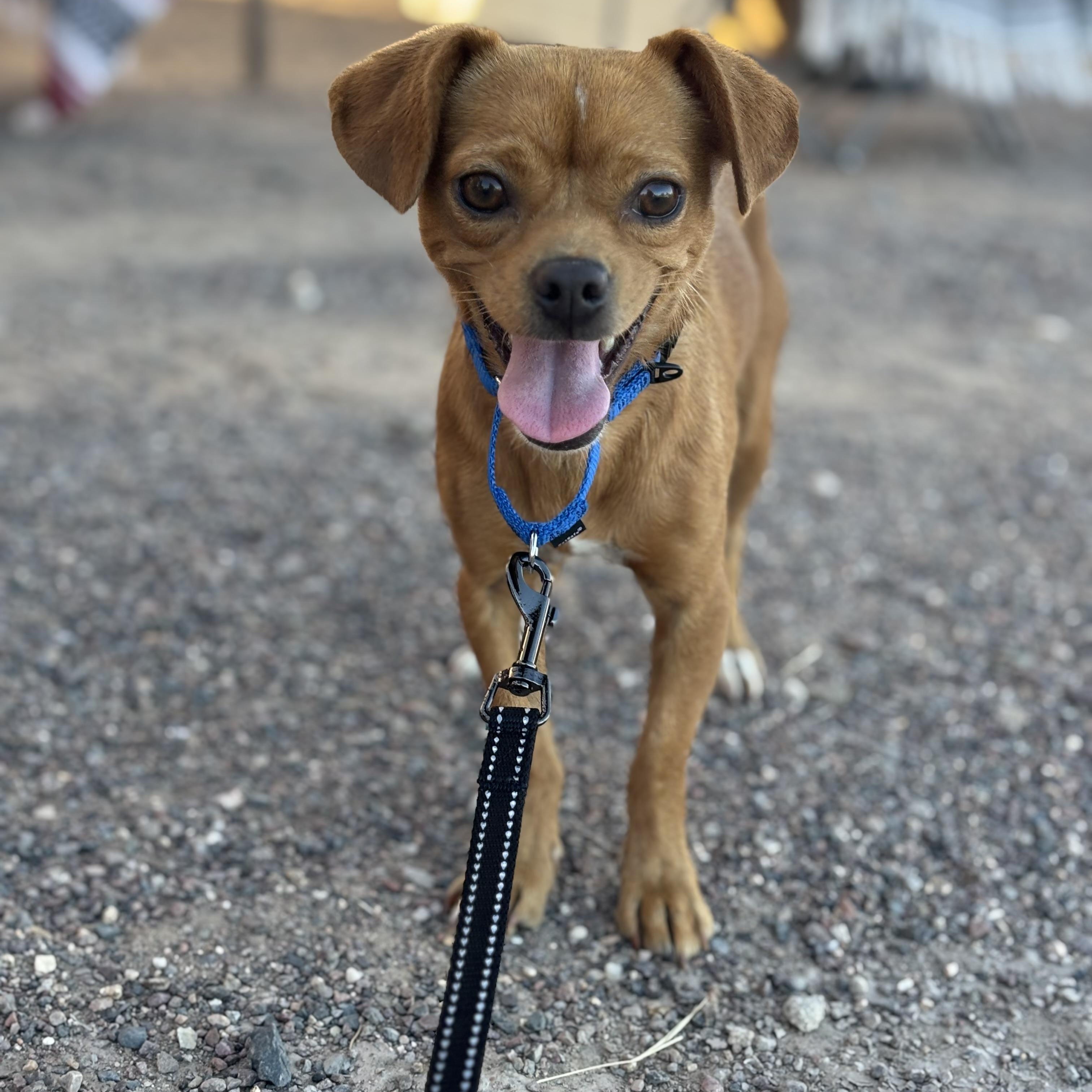 Toki