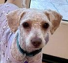 Aimee D6063 (was Ayla)