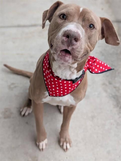 REDWOOD — thumbnail 2