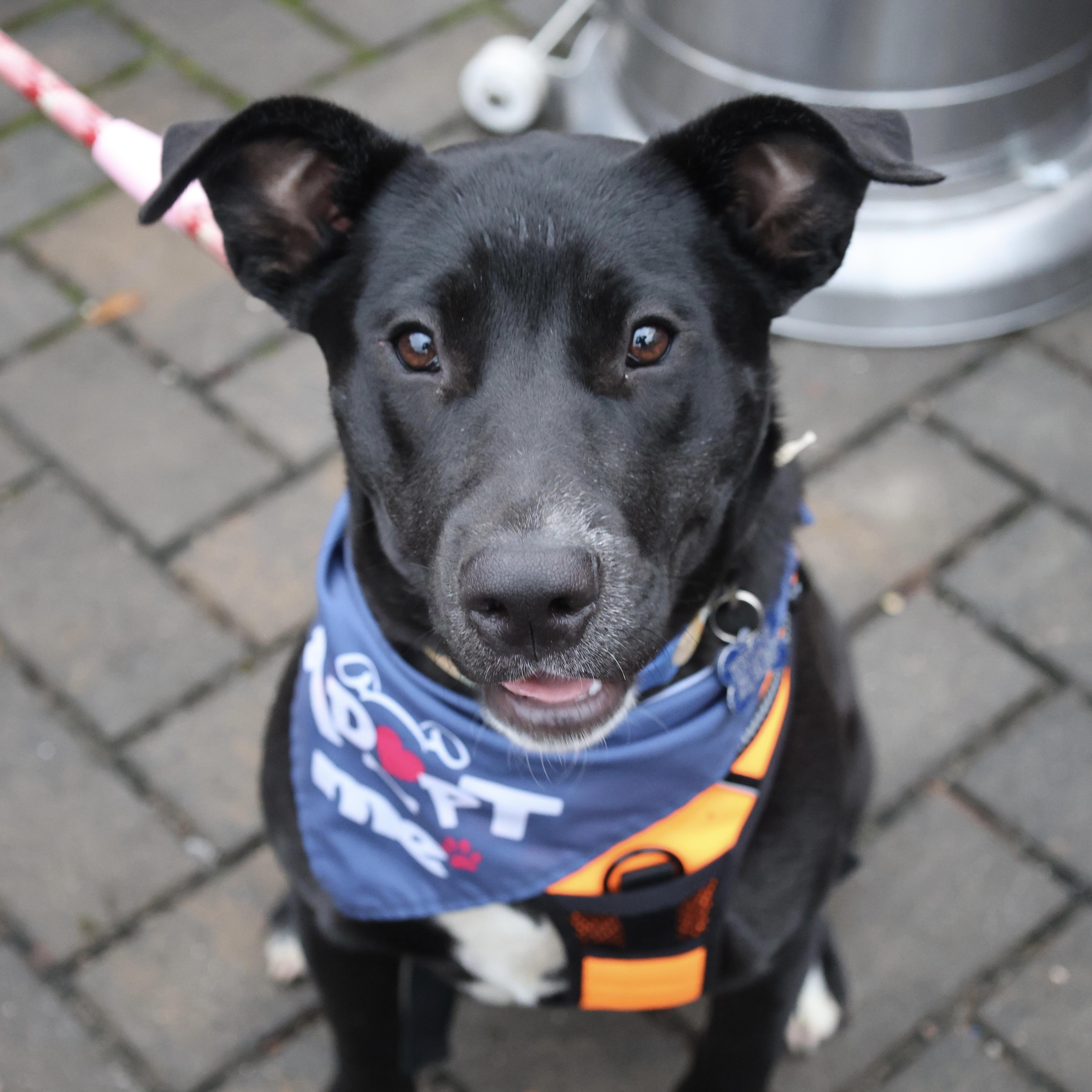 Boil — thumbnail 2